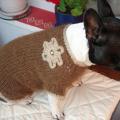 Doggie Sweater - For pets - knitwork
