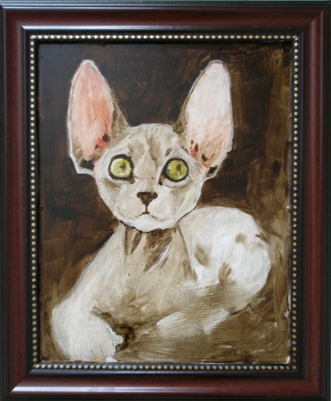 Devon Rex