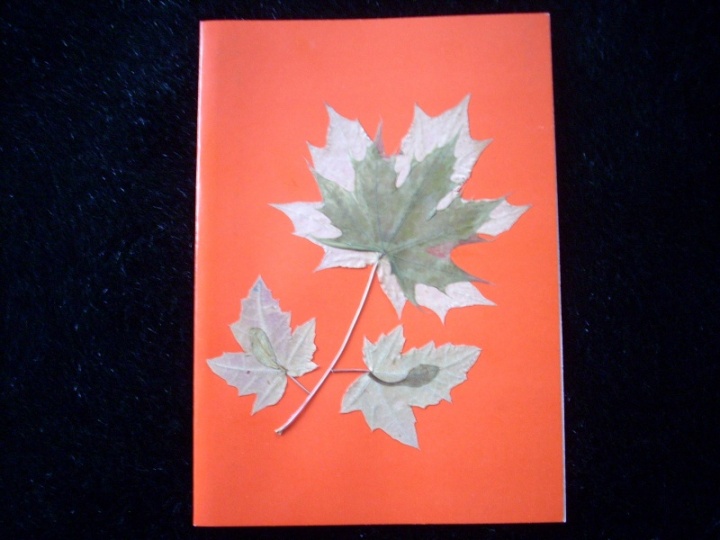 Floral greeting card 1