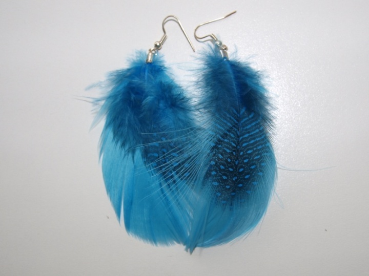 Feather earrings azure field