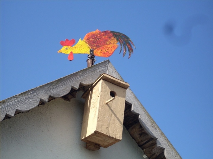 Weathervane " Cock "