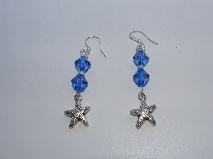 Earrings silver (925) tips