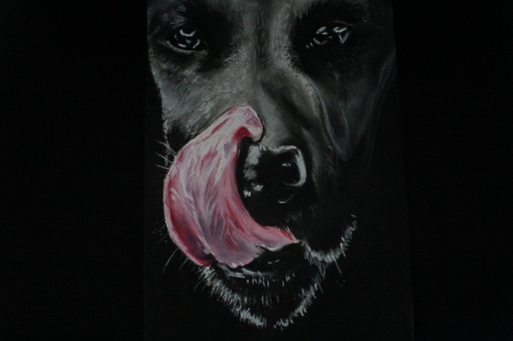 dog-pastel