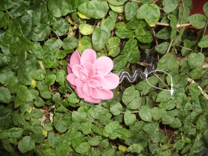 headband with peony picture no. 3