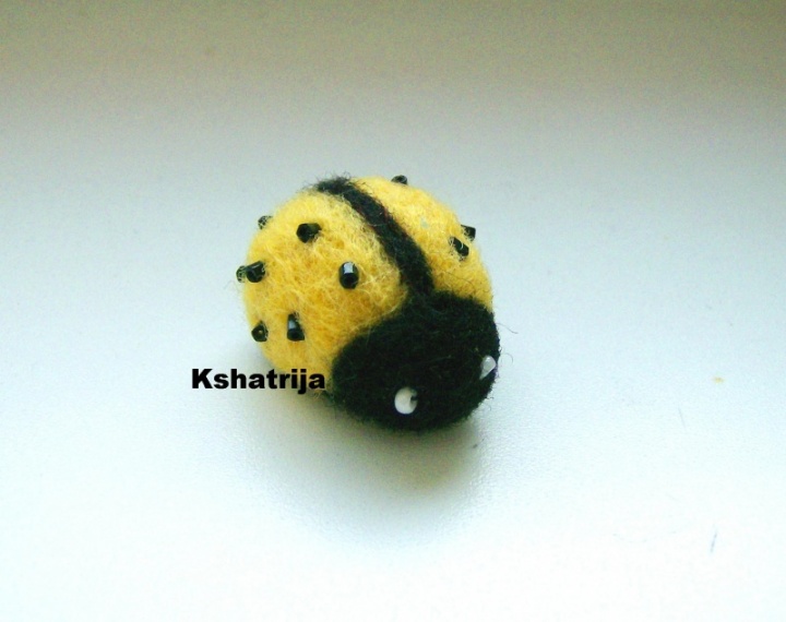 Yellow ladybird