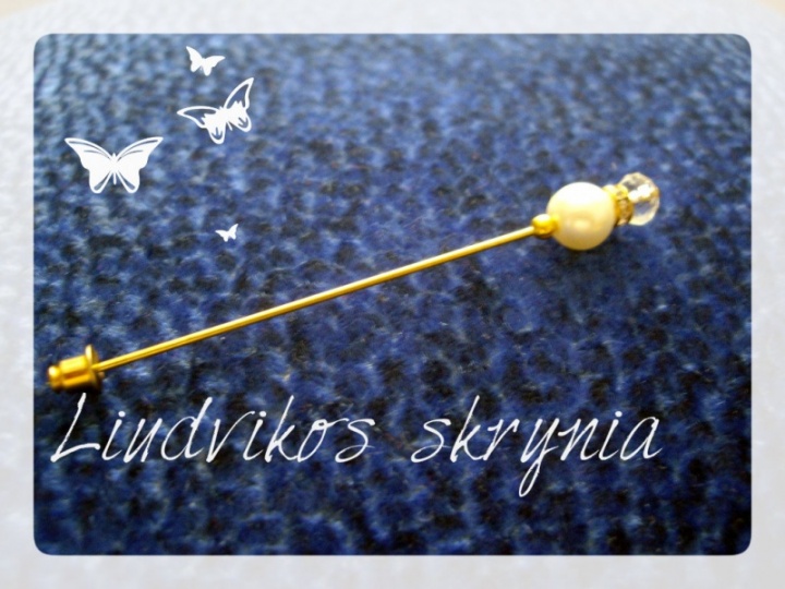 Brooch-pin 2