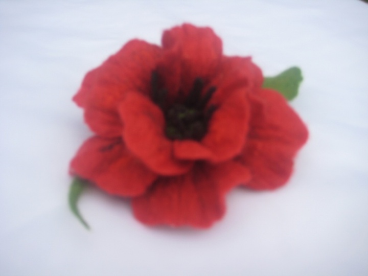 Poppy picture no. 3