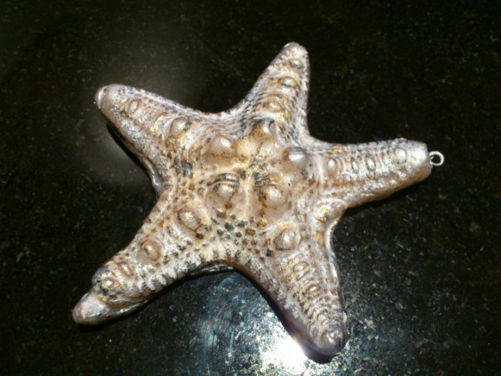 Starfish