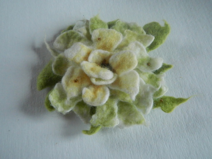 Flower " greenish "