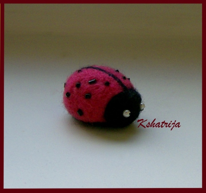 Pink ladybird