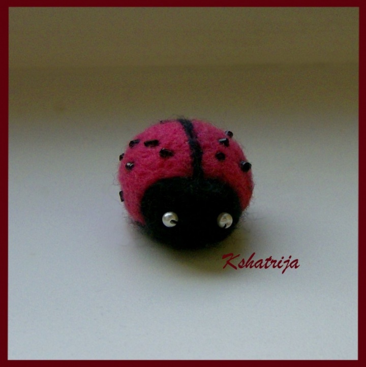 Pink ladybird picture no. 2