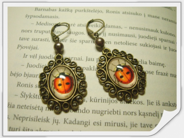 Earrings " Ladybugs "