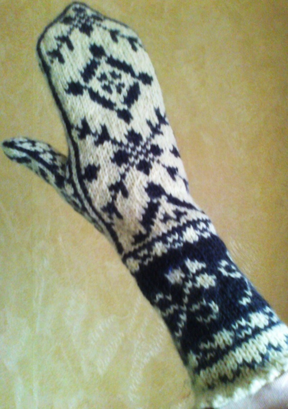 patterned long gloves