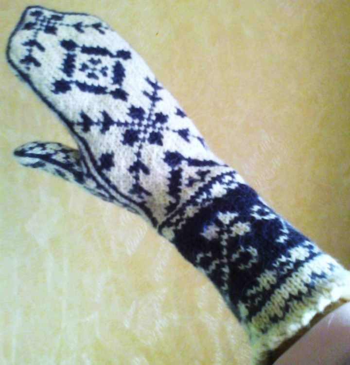 patterned long gloves picture no. 3