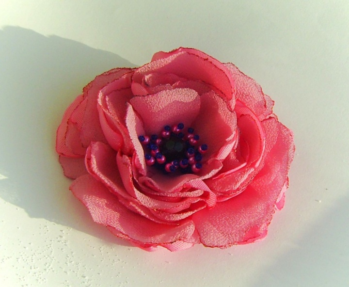 Bright Rose picture no. 2