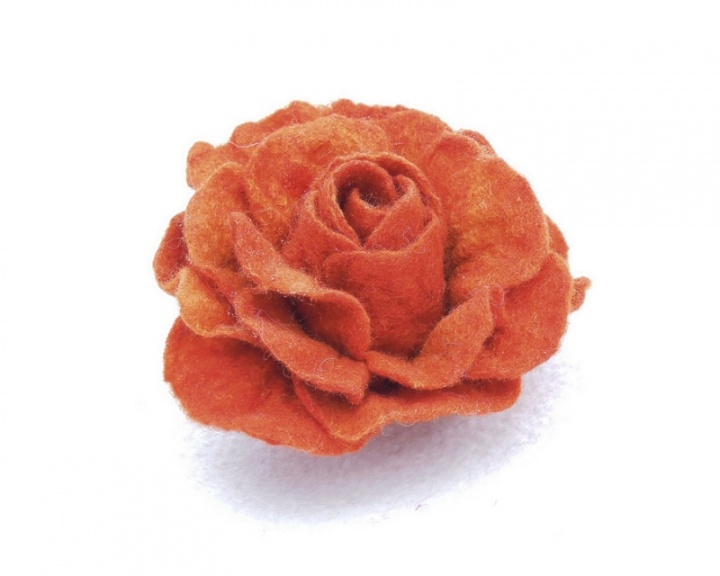 Orange Rose