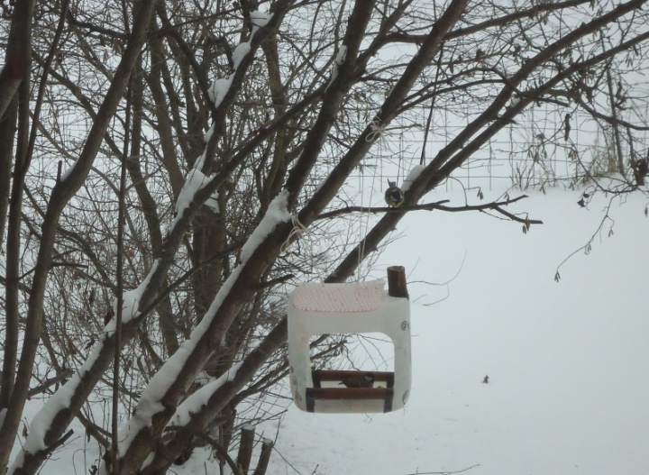 Nesting box picture no. 2