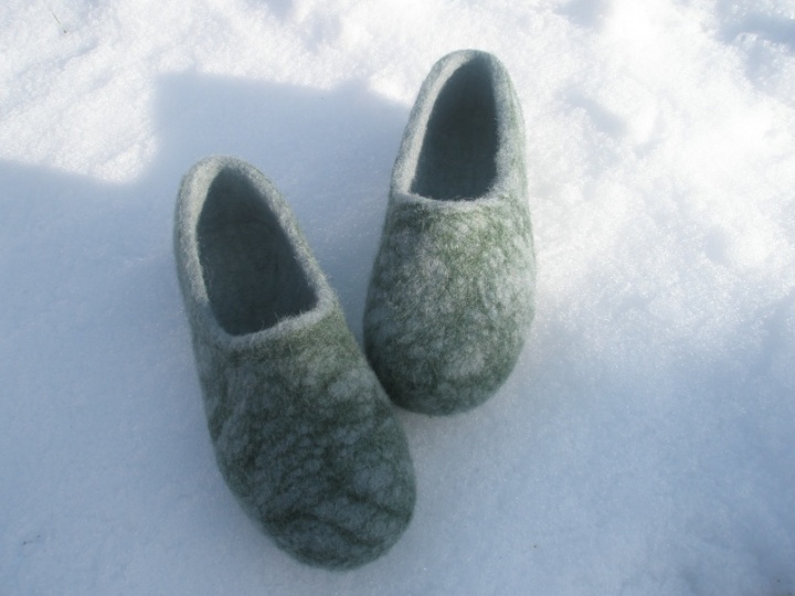 chameleon slippers