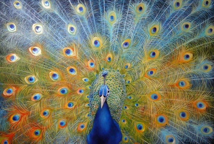 " Tibetan peacock " 120x80