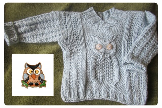 sweater " owlet "