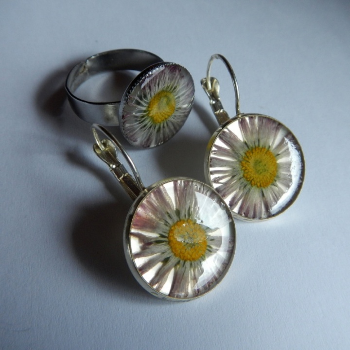 Earrings and ring " Daisies "