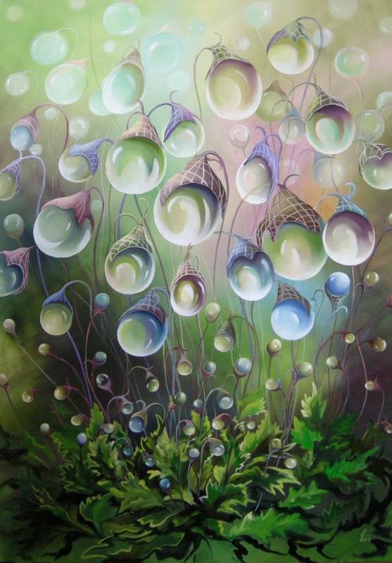 " dew drops " 70x100