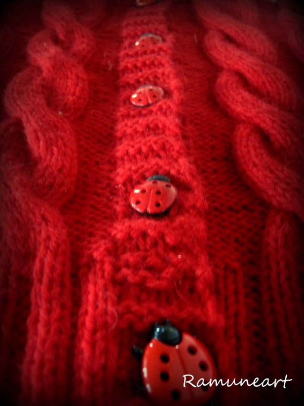 Ladybirds sweater picture no. 3