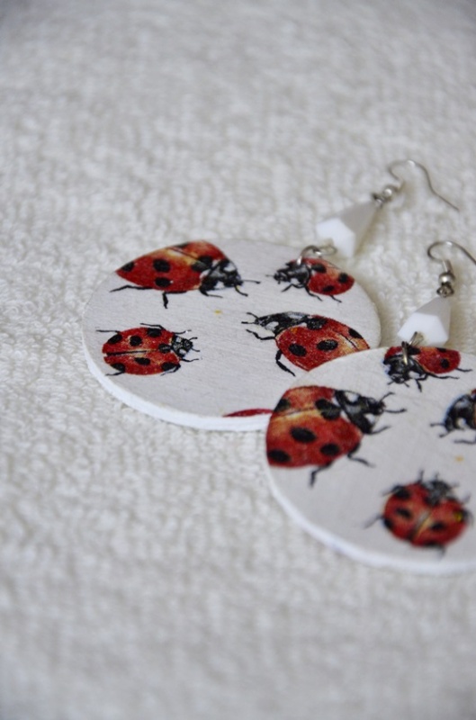 Ladybug picture no. 2