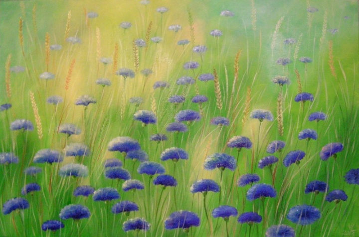 Cornflowers 60x40-en