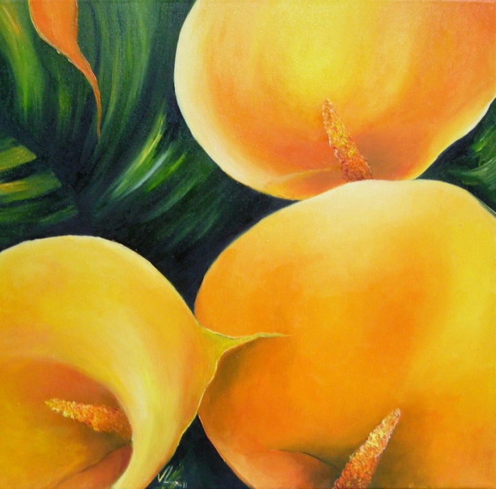 Yellow calla 40x40