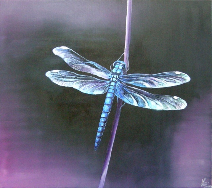 Dragonfly 45x40