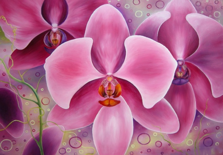 Orchid Dream 100x70