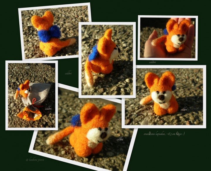 Orange pup picture no. 2