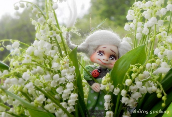 "Lily of the valley "