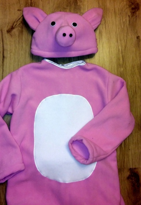 pig costume