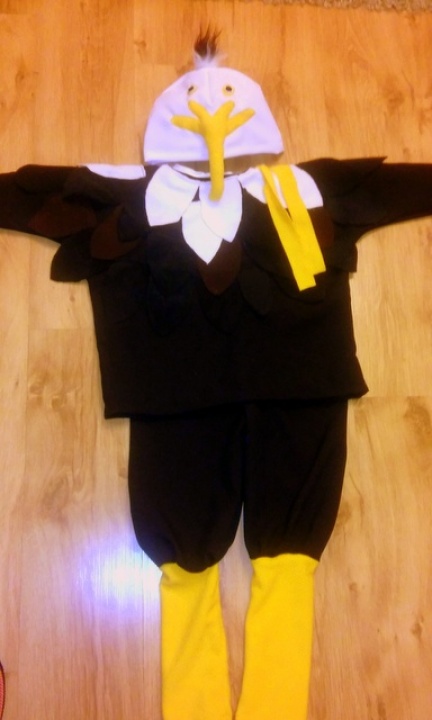 Eagle costume picture no. 2