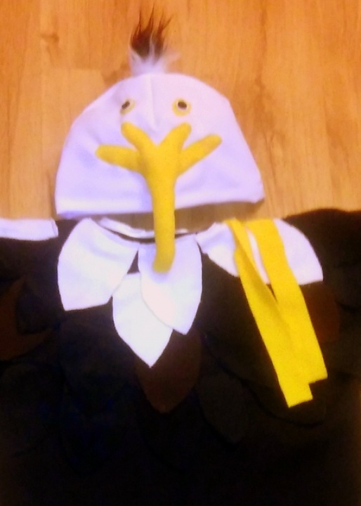 Eagle costume