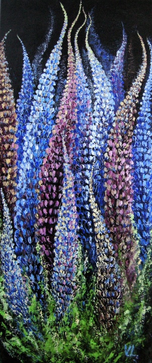 Flowering lupines 30x70