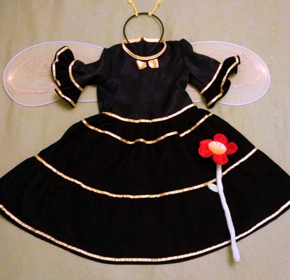 Bee's Carnival Costume for a Girl