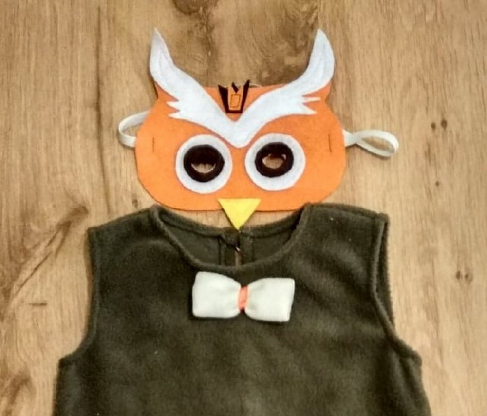 Owl, bird carnival costume for a girl