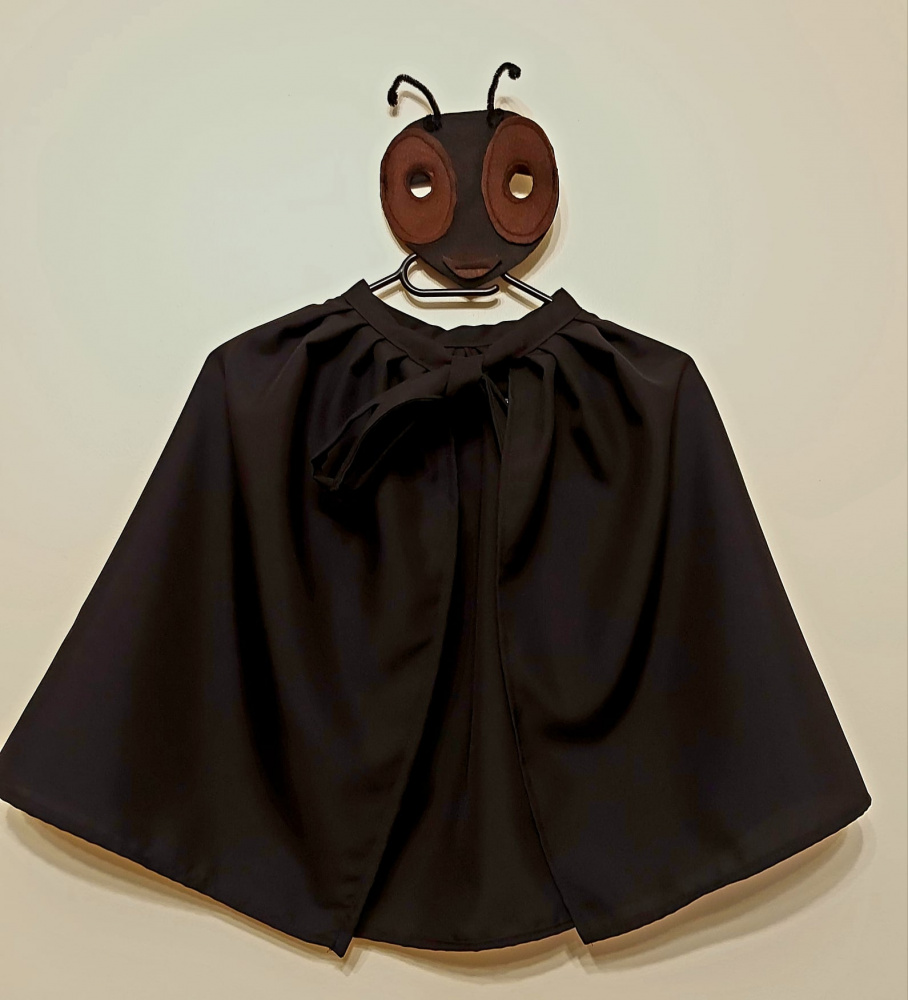 Beetle, ant costume for children