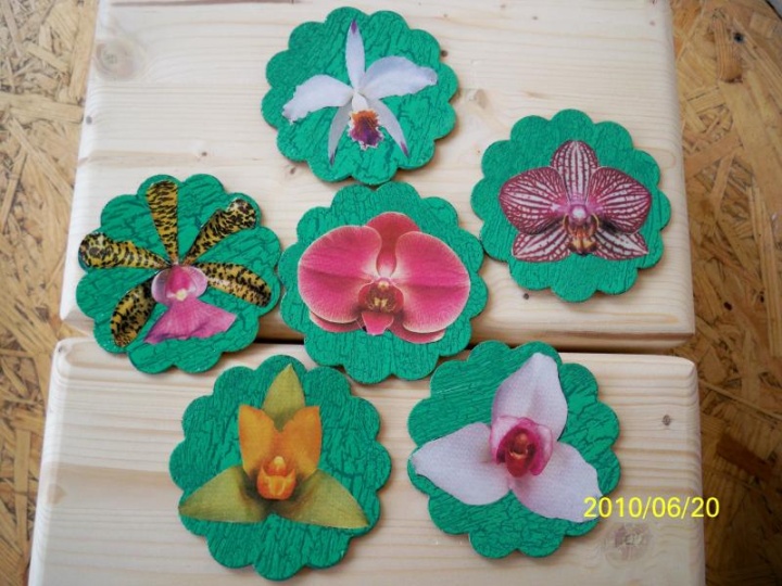 ORCHID Coasters