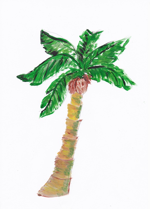 Palm trees sketch