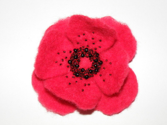 Red poppy