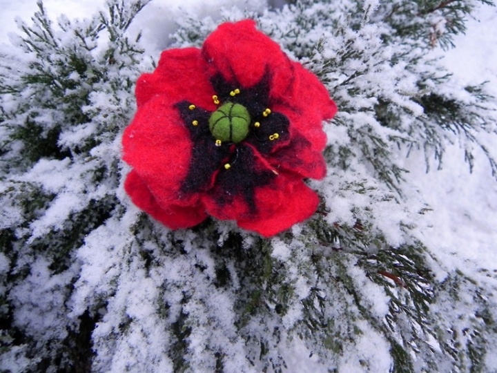 Red flower