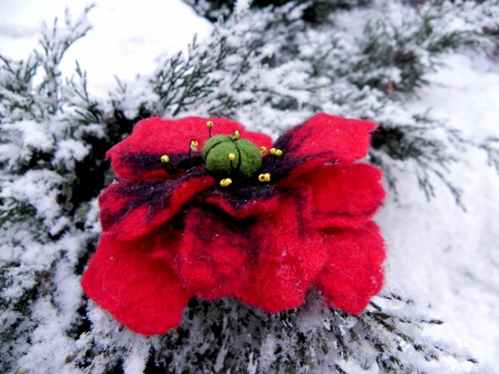 Red flower picture no. 2