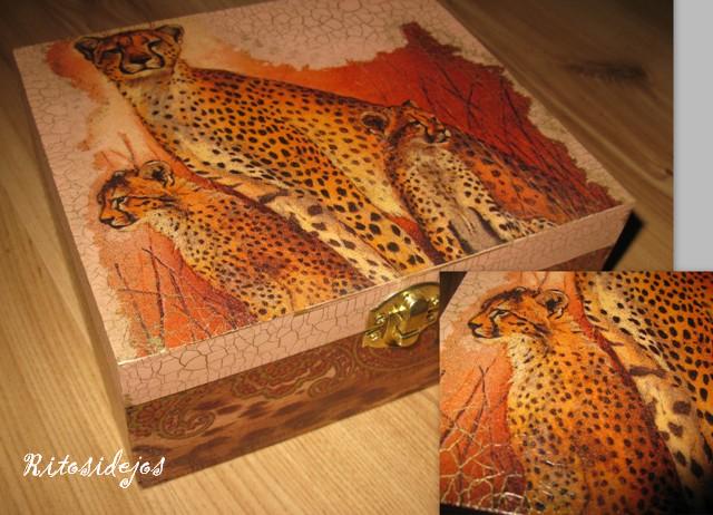 Box Leopadai