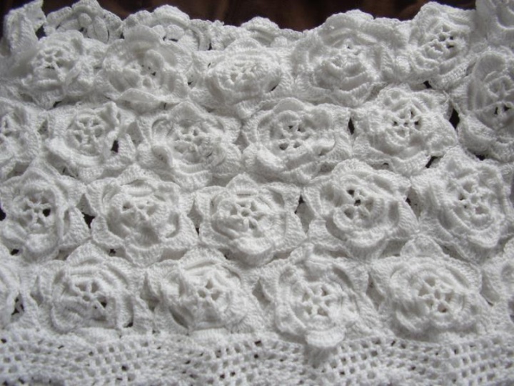 cardigan white roses picture no. 2