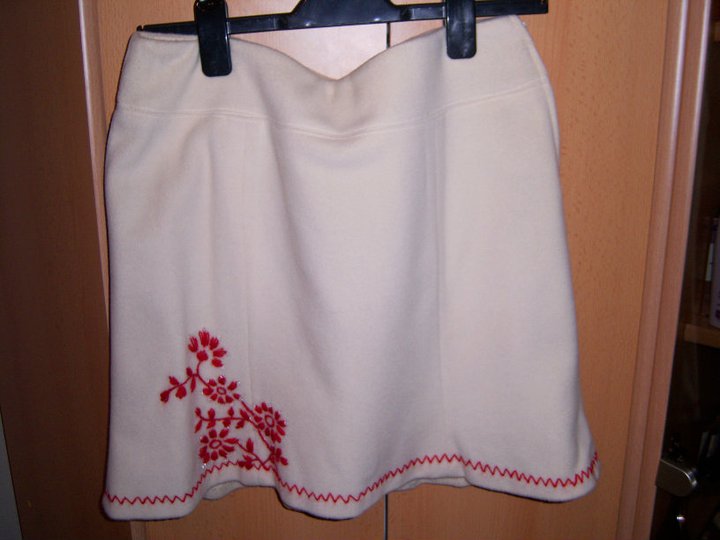 embroidered skirt