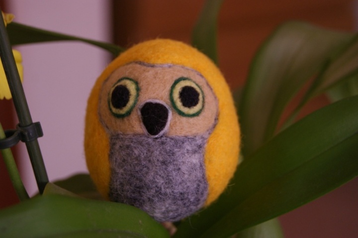 Owlet